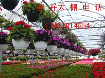 温室,大棚 北京蔬菜大棚 产品展示 张家口怀来县花卉大棚建设