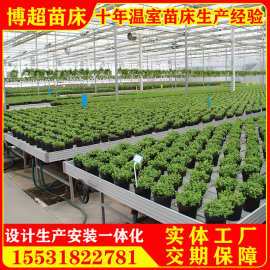31成交0笔广州市花卉种植网格移动苗床菱形网格养花育苗温室移动苗床